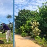First Section of Pasir Panjang Park Opened Today (4 Sep) ; More Gardens in West Coast to be Opened by 2030