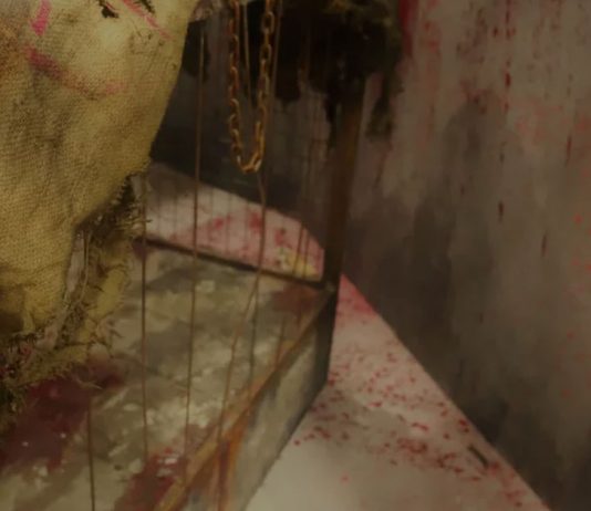 Singapore Discovery Centre Having a Hospital-Related Haunted House