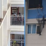 People Cheered as a Cat Was Rescued from Ledge of HDB Flat During a Fire