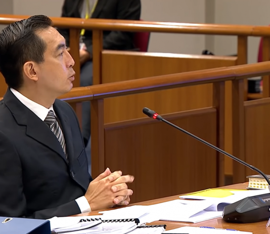 Everything About Raeesah Khan’s Psychiatric Evaluation Made by the COP Simplified for You