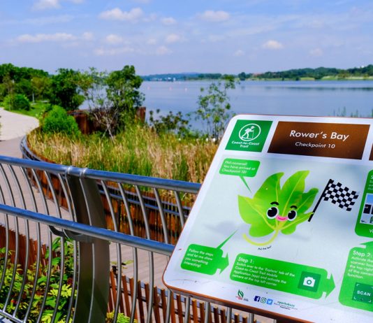 Everything About the First Phase Opening of the Round Island Route