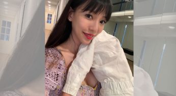 Lee Jinglei Reported Submitted New Evidence for a Court Hearing With Wang Leehom on 4 March