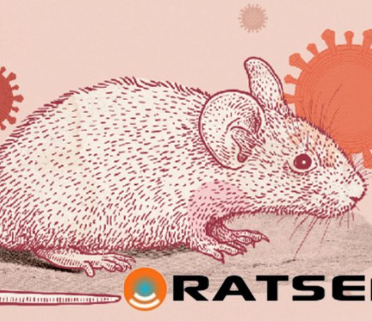 All Hawker Centres & Market Managed by NEA Will Have System to Detect Rodents