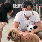 Nee Soon East CC Vaccination Centre Has Doggies to Comfort Kids Taking COVID-19 Vaccines