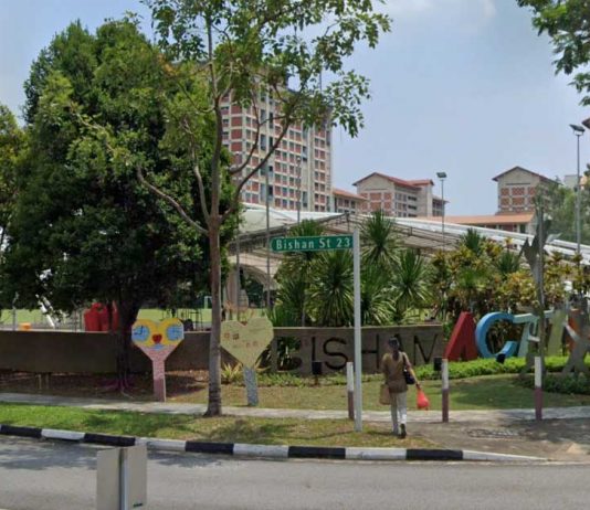 Suspect in Bishan Murder Reportedly Kept Asking for Money As She Claimed to be a Scam Victim