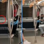 Trapped Bat in MRT Train Cabin Terrified Commuters But Someone Could Still Take a Video