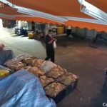 Man Caught on CCTV Stealing a Durian in Broad Daylight at Jurong East