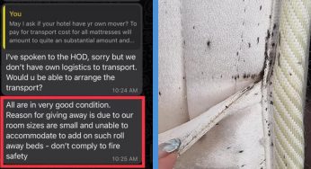 S’pore Charity Receives 24 ‘Pre-loved’ Hotel Mattresses That Were Infested With Bedbugs