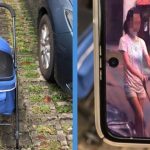 Woman Allegedly Abandons Cat By ‘Parking’ the Cat Pram With Other Cars in West Coast