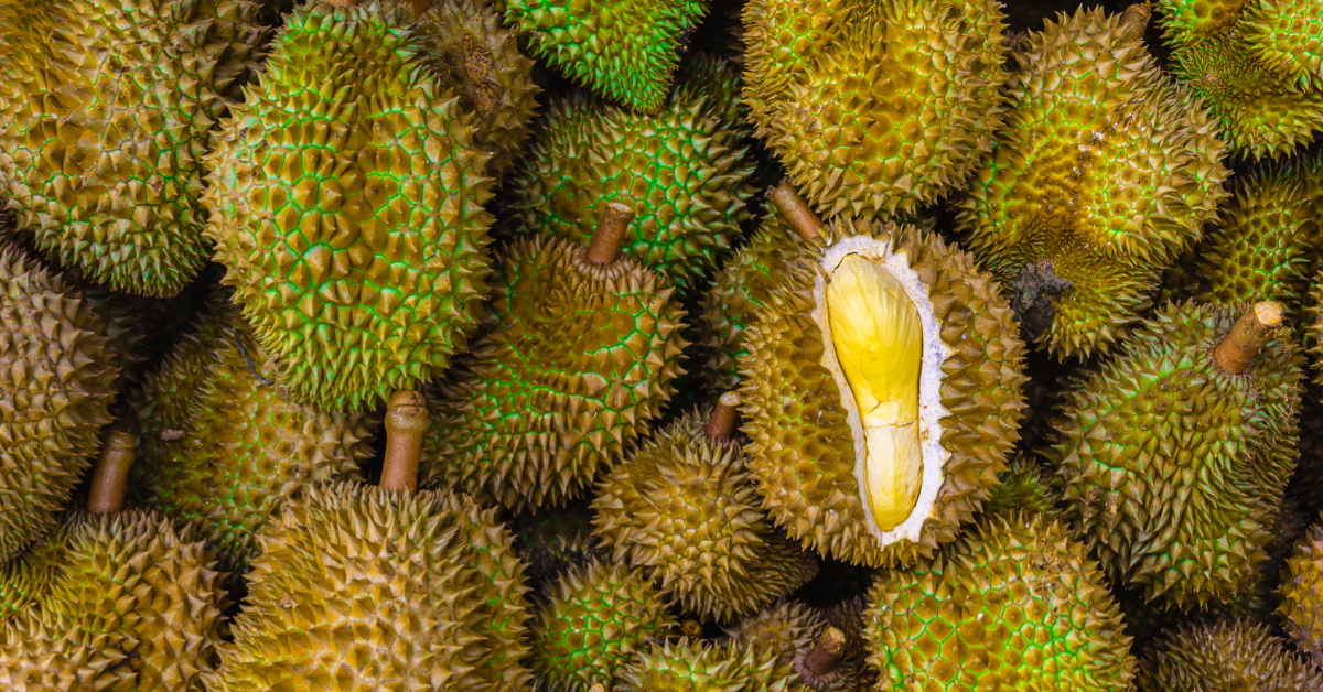 Prices of Durians in S’pore Apparently Dropping Instead of Increasing Due to Better Weather Conditions