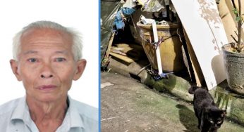 82YO Man Reportedly Lived in a DIY Tent Near Bugis for 10 Years With a Cat