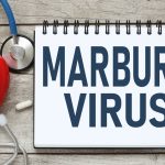 Everything About the New Marburg Virus Outbreak & What the Disease is All About