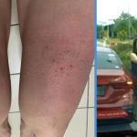 Woman in Road Rage Explains Why She Got Aggressive & Why She Tossed the Car Plate