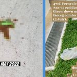 Sengkang Resident Allegedly Threw Bags of Poo & Urine Down from HDB Flat Regularly