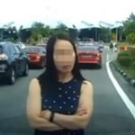 Son of Alphard Driver Says Woman Being Doxxed Online is Unfair to Her