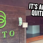 7 Facts About ORTO You Probably Didn’t Know About