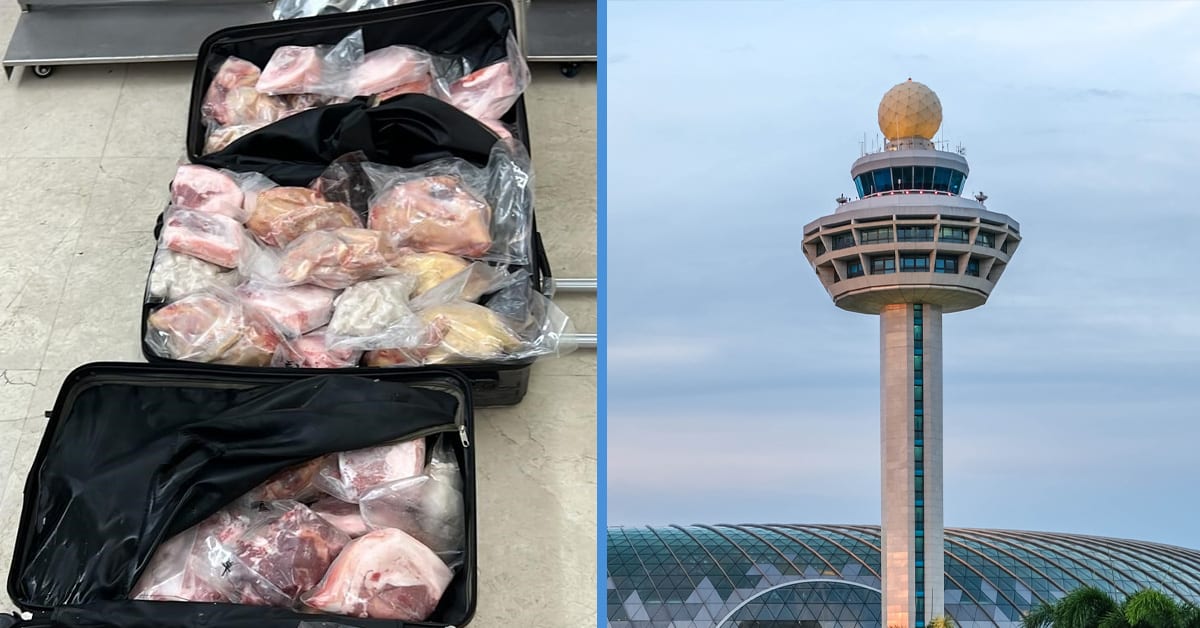 Chinese National Fined 17500 For Importing 226kg Of Meat In Luggage To Spore Goody Feed 9310