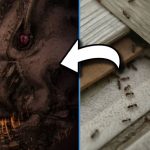 This Photo is a Close-Up of an Ant In Your House & It Won an Award for Looking Like an Alien