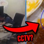 House of Seafood Owner Claims Diner Staged Photos of Cockroach in Food & Asked for ‘Large Compensation’