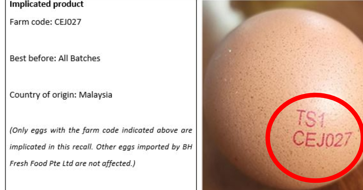 Batch of Eggs Sold in S’pore Being Recalled Due to Presence of Salmonella Enteritidis