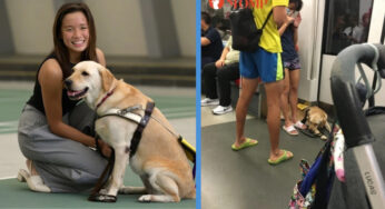 Stomper Slammed for Complaining About Guide Dog in MRT Train