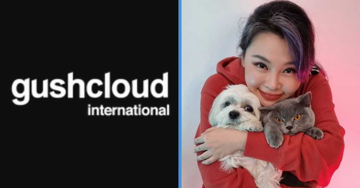 Sylvia Chan Has Officially Resurfaced With New Job With Gushcloud International