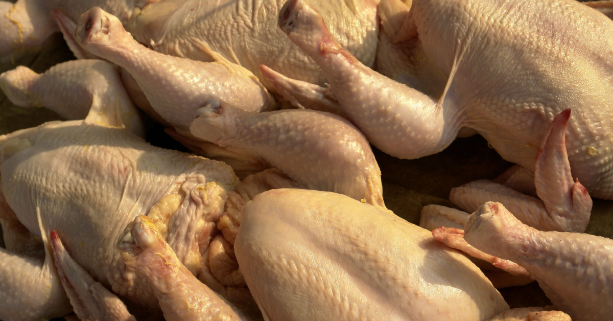 Prices of Fresh Chicken to Increase by Around 20 Due to High Demand
