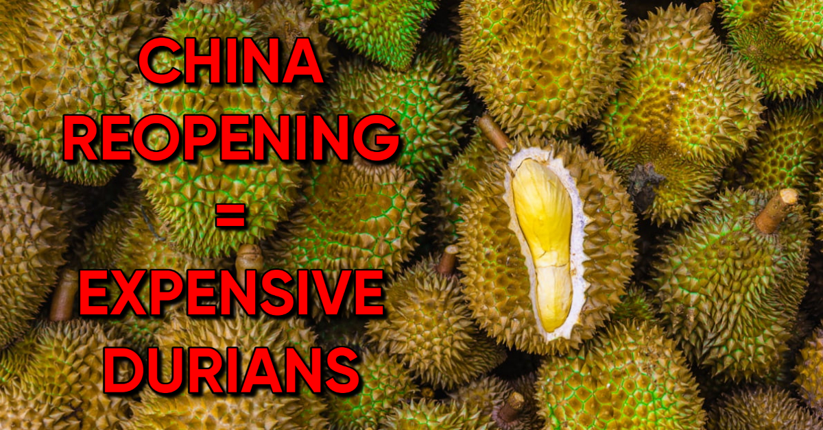 Cheap Durian Prices Might Now End As Demand From China Increases Due to Their Reopening