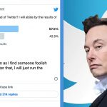 Elon Musk Said He Would Step Down as Twitter CEO After Finding a Replacement