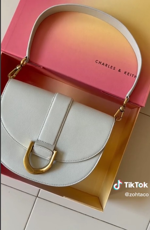 Zoe charles and keith tiktok Zohtaco charles & keith luxury bag