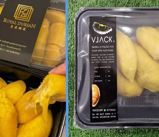 5 Best Places to Buy Affordable Durians Online ‘Coz Durians Aren’t Allowed in Singapore Public Transport