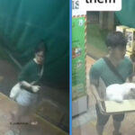 Netizens Divided After Minimart at Chai Chee Claimed 2 People Stole Its Cat