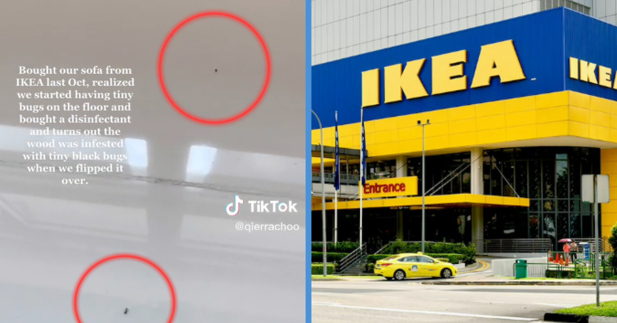 Ikea S’pore Responded After Allegation of Multiple Bugs Found in Sofa