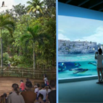 Everything About the S’pore Bird Paradise That’ll Open at Mandai on 8 May