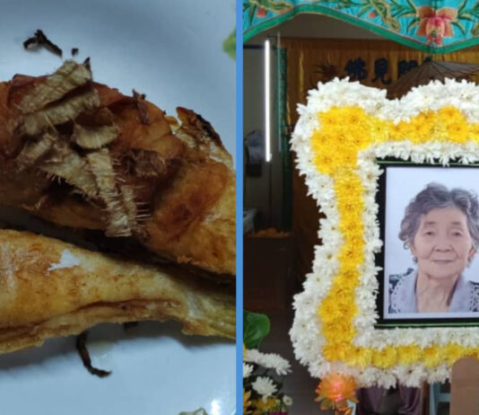 83YO Dies After Eating Pufferfish She Ordered from Facebook While Husband is Still in ICU