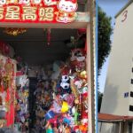 70YO Hoarder’s Home So Filled with “Treasures” Only A Pathway & Toilet Is Left Empty