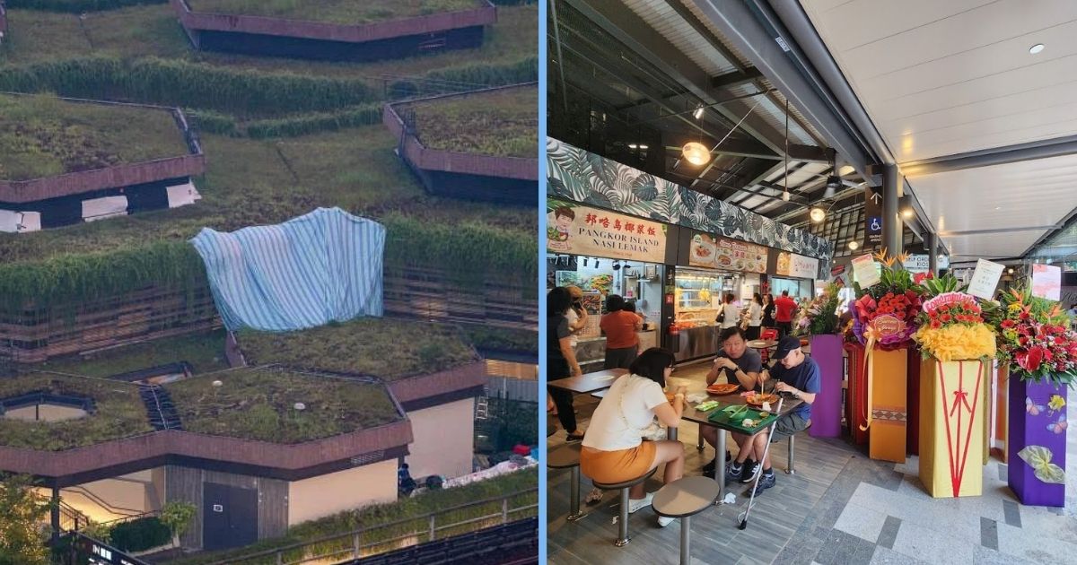 Hawkers in Bukit Canberra Hawker Centre Claim Water & Bugs from Garden Roof Landed on Their