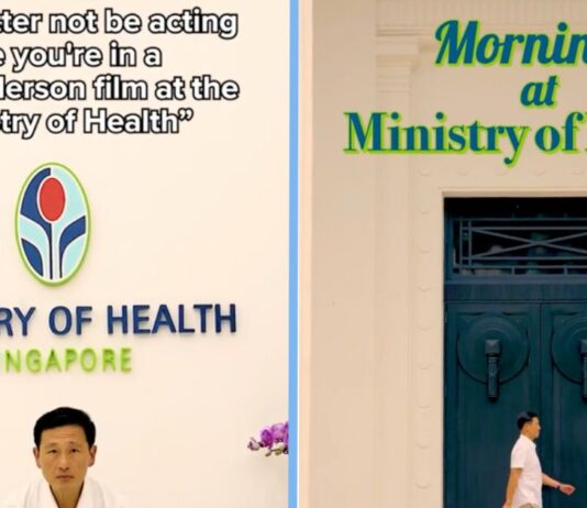 Everything About the Wes Anderson TikTok Trend That Even Ong Ye Kung Has Joined In