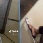 Food Delivery Rider’s HDB Lift Journey Turns into a Highly Relatable Cockroach Nightmare