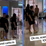 Video of Black Community Cat Panicking in ION Orchard Went Viral