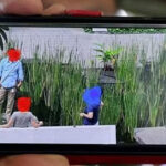 6 People Caught Trespassing into Hougang Condo to Fish from the Condo Pond