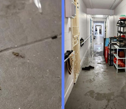 67YO Woman Found Dead in Henderson Road HDB Flat With Floor Covered With Maggots