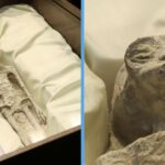 mexico-government-present-alien-corpse