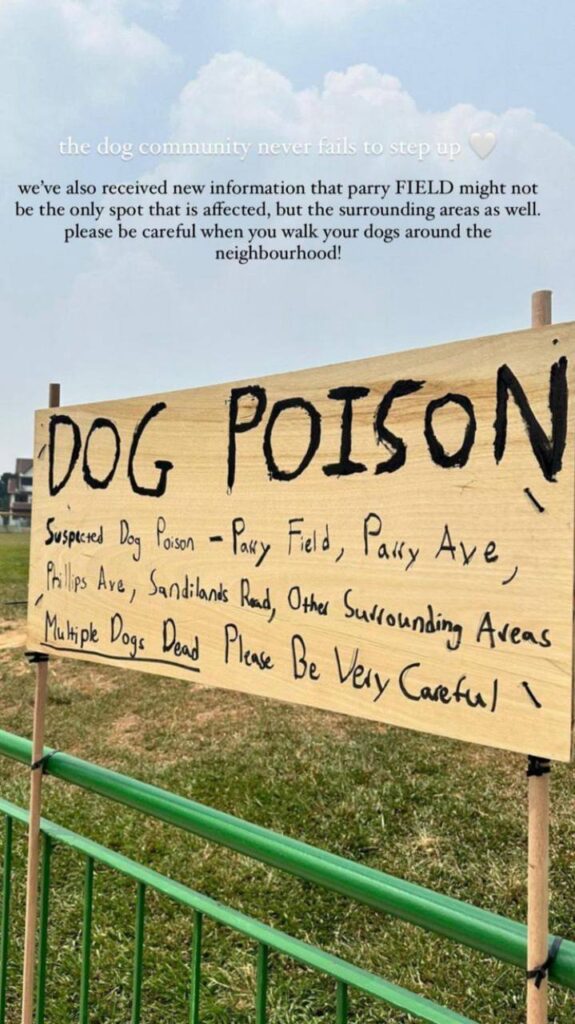signs-field-dogs-died