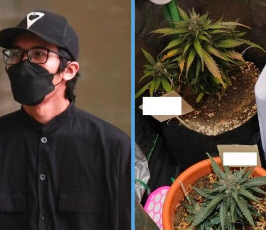 First Person in S’pore Charged for Importing Food That Contains Cannabis