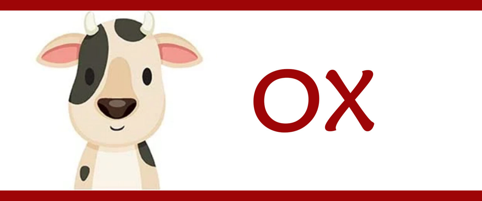 Ultimate Guide to The Fortune of All Chinese Zodiac Signs in the Year ...