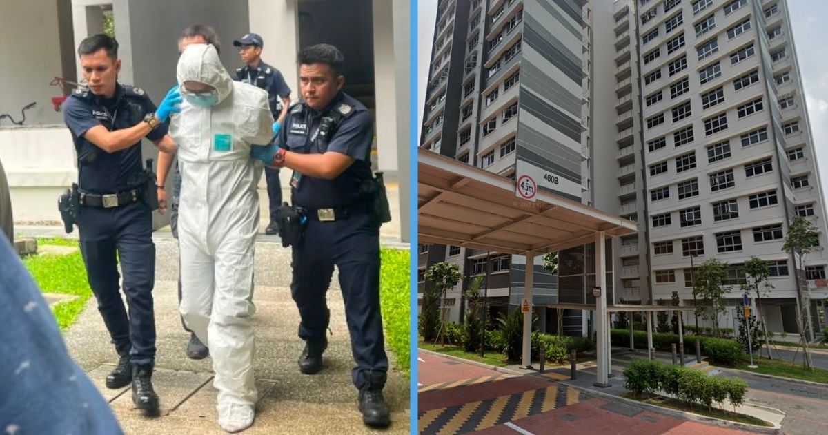 Everything About The Bukit Batok Murder, Whereby There Have Been ...