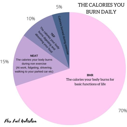 calories pie chart