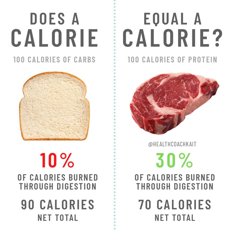protein vs carbs