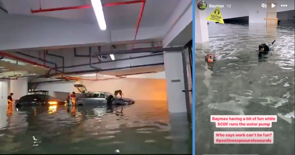 Flood in Bukit Timah Condo On Saturday Wasn’t Caused by the Heavy Rain ...